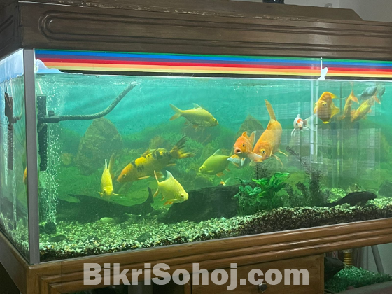 Aquarium for sale